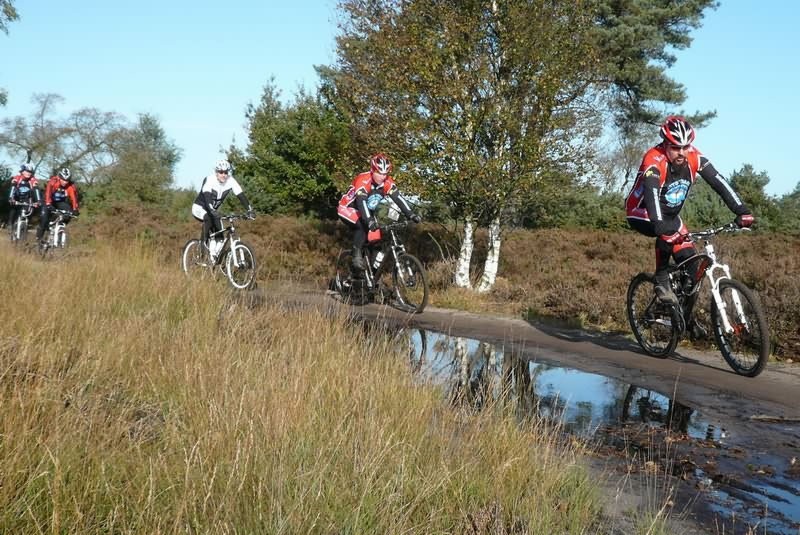 VTT2009051.jpg