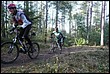 VTT2009029.jpg