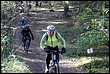 VTT2009033.jpg