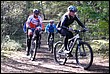 VTT2009035.jpg