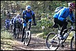 VTT2009036.jpg