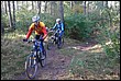 VTT2009037.jpg