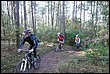 VTT2009038.jpg