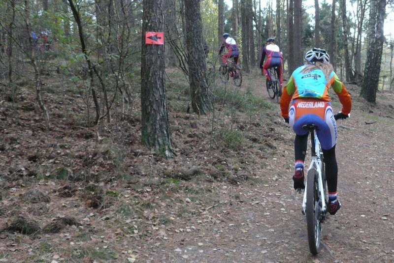 VTT2010082.jpg