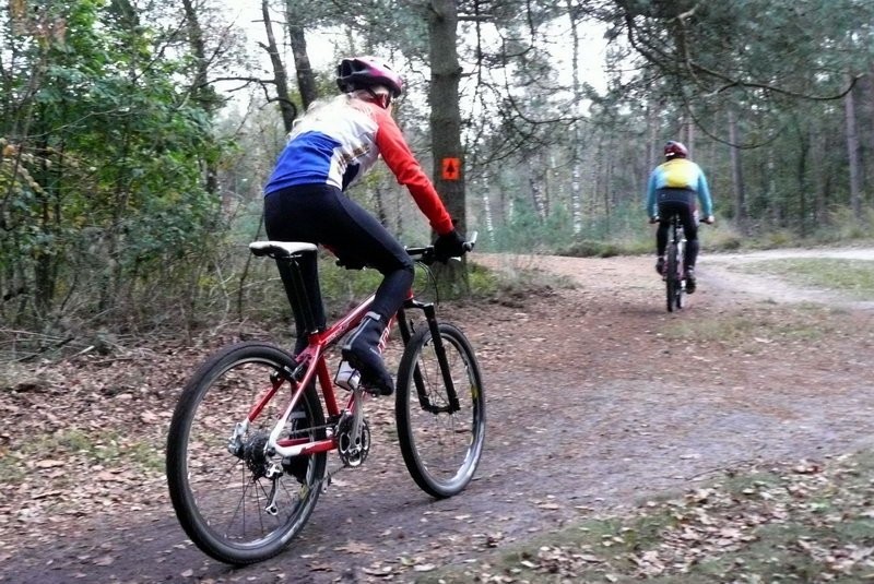 VTT2010091.jpg