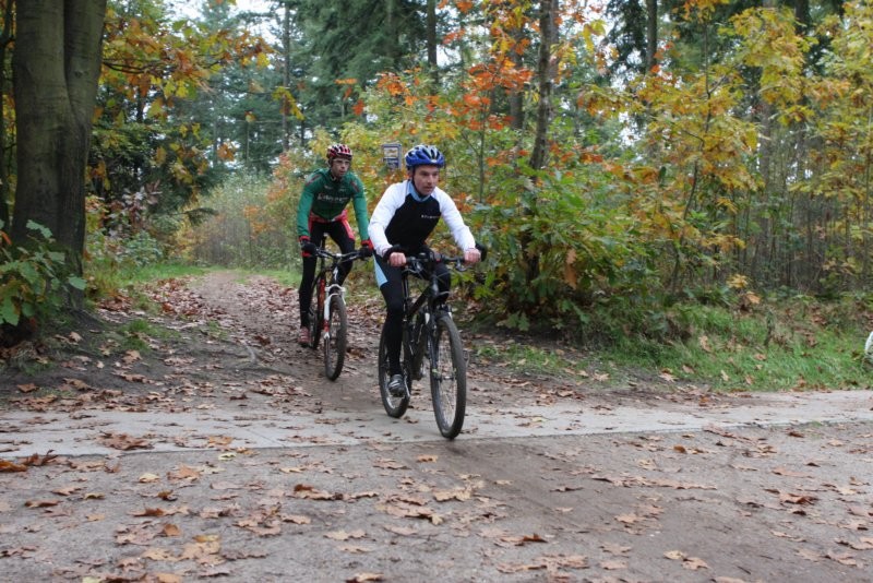 VTT2010110.jpg