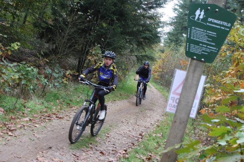 VTT2010113.jpg