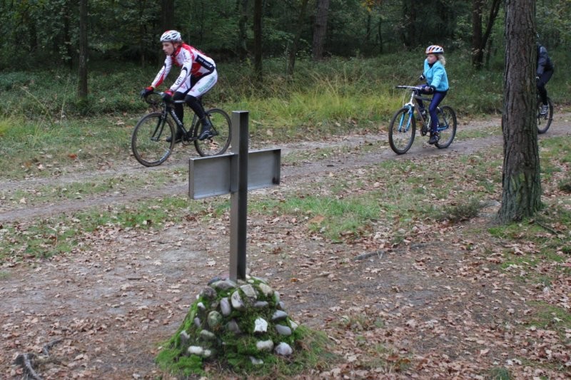 VTT2010123.jpg