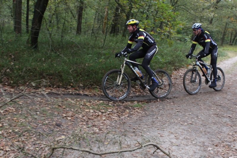 VTT2010124.jpg