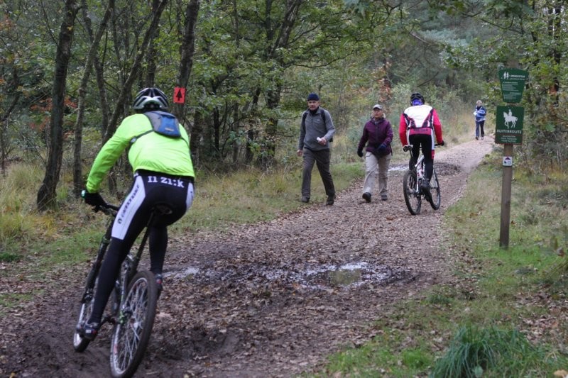 VTT2010126.jpg