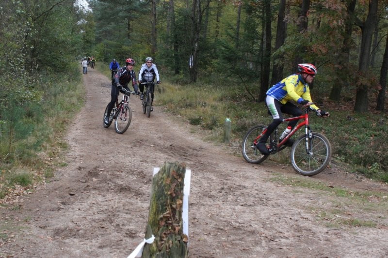 VTT2010132.jpg