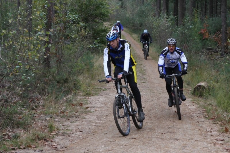 VTT2010133.jpg