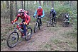 VTT2010078.jpg