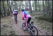 VTT2010079.jpg