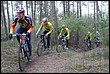 VTT2010080.jpg