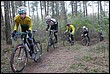 VTT2010081.jpg