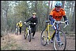 VTT2010083.jpg