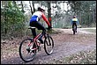 VTT2010091.jpg