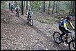 VTT2010092.jpg