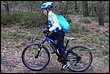 VTT2010093.jpg