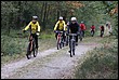 VTT2010114.jpg