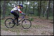 VTT2010122.jpg