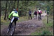 VTT2010126.jpg