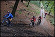 VTT2010134.jpg