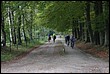 VTT2010137.jpg